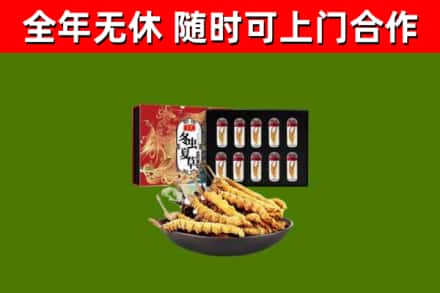 无锡回收冬虫夏草价格